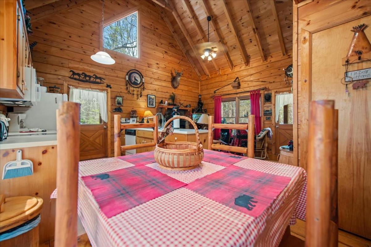 Vila Cozy Cabin Beside Briar Creek, Fire Pit, Wifi Ellijay Exteriér fotografie