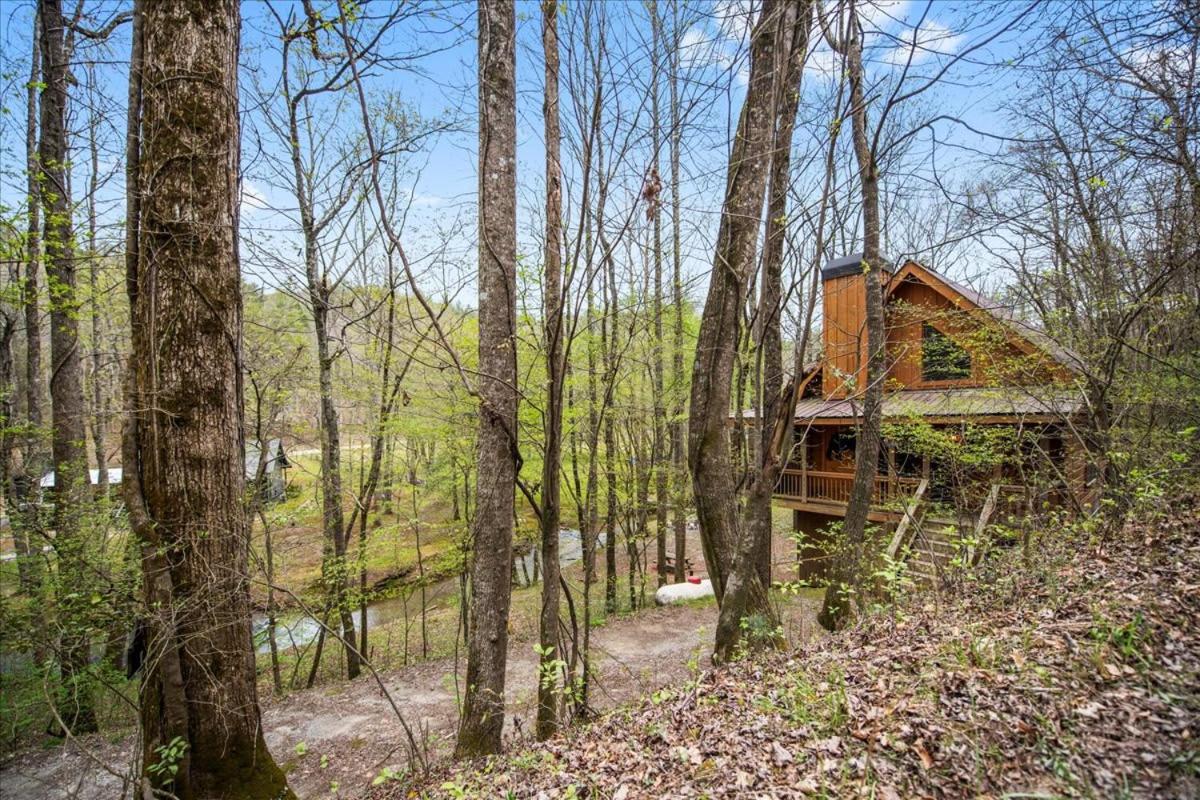 Vila Cozy Cabin Beside Briar Creek, Fire Pit, Wifi Ellijay Exteriér fotografie